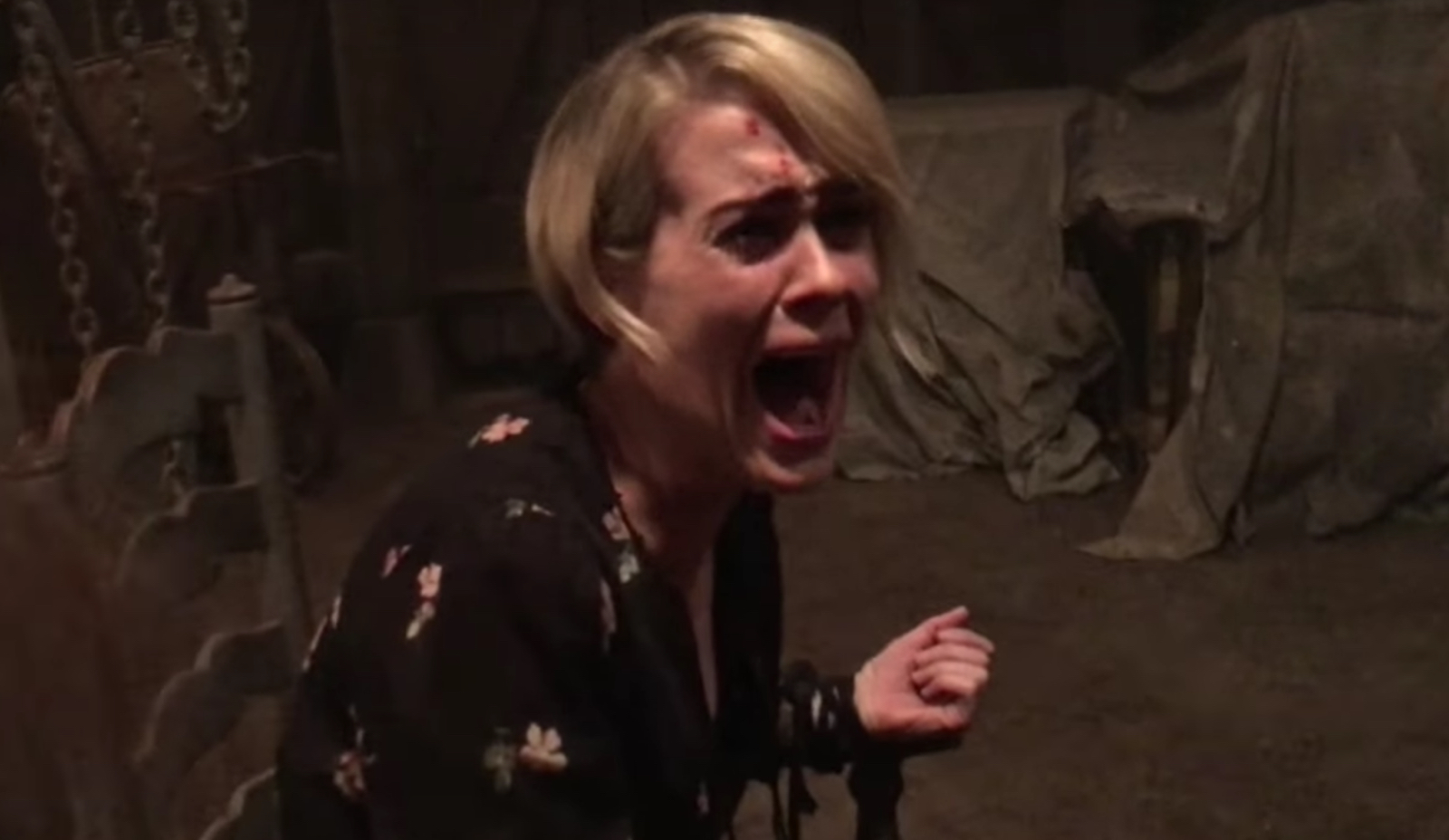 Ahs Roanoke Ahs Roanoke